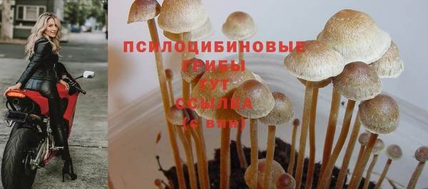 наркотики Алзамай